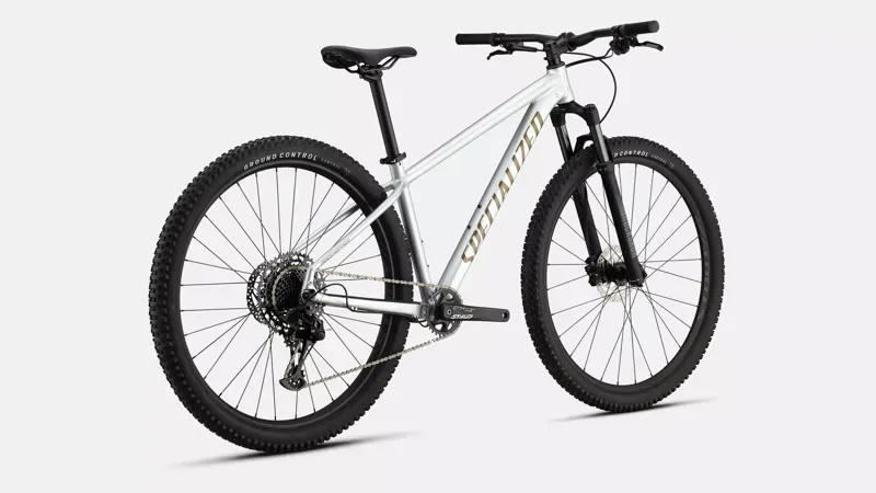 Specialized Rockhopper Expert in Silver/Burnt Gold-2